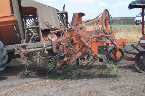 image Cosechadora de remolacha