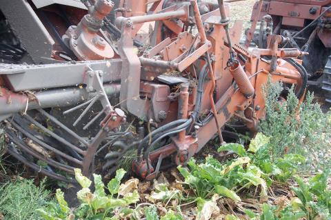 image Cosechadora de remolacha