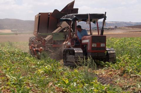 image Cosechadora de remolacha