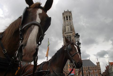 image Caballos en la Plaza Mayor con la Torre Belfry de fondo, Brujas, Bélgica