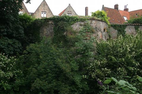 image Muralla de Brujas, Bélgica