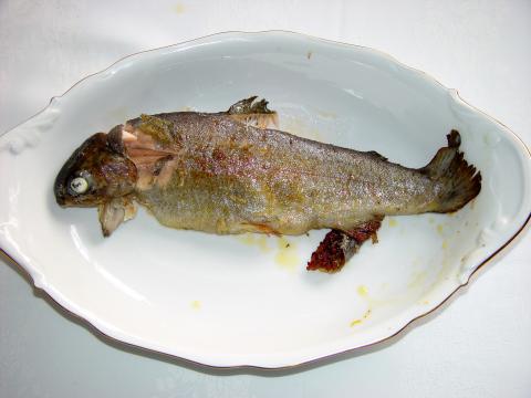 image Pescado