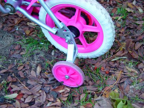 image Estabilizadores