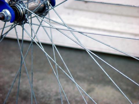 image Radios de bicicleta