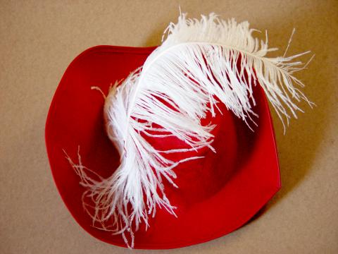 image Sombrero con plumas