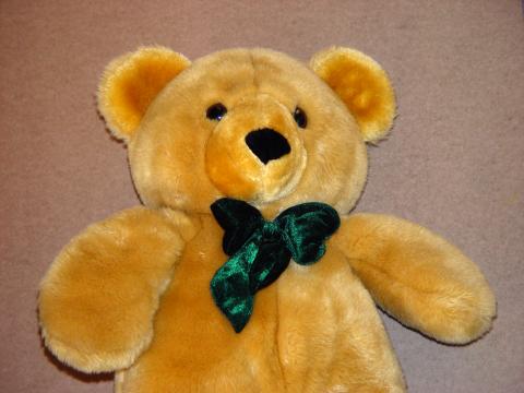 image Osito de peluche