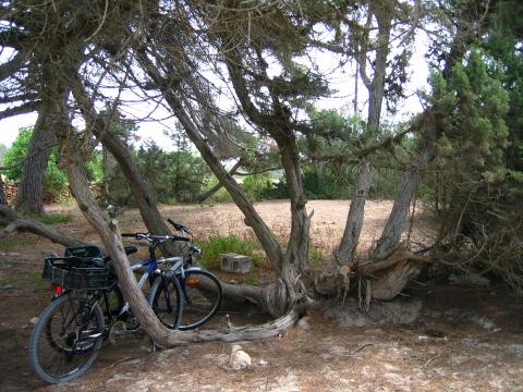 image La bicicleta, Formentera, Islas Baleares
