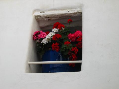 image Ventana con flores, Ibiza, Islas Baleares