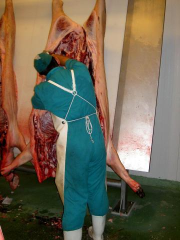 image Despiezando un cerdo