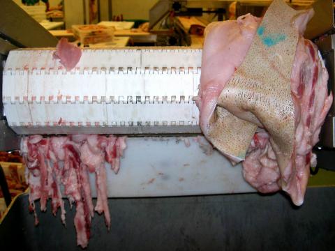 image Cinta transportadora de carne