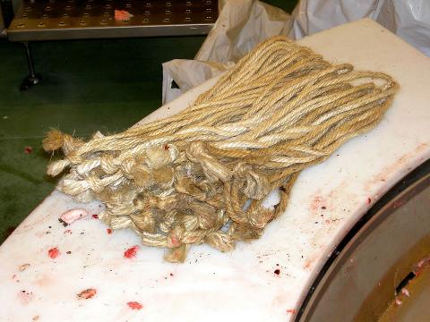 image Sogas para jamón