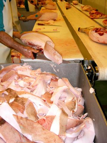 image Separación del tocino