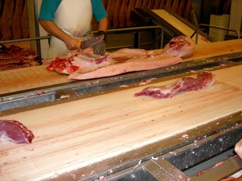 image Separación del tocino