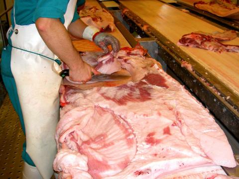 image Separación del tocino