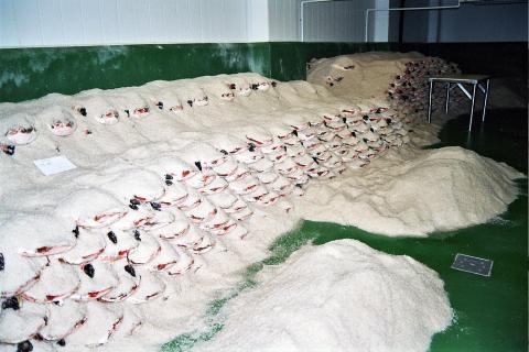 image Jamón en salazón