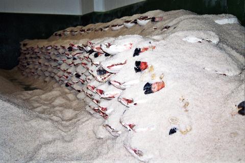 image Jamón en salazón