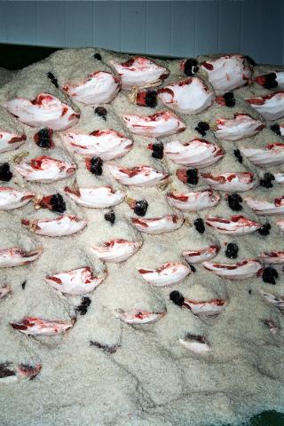 image Jamón en salazón