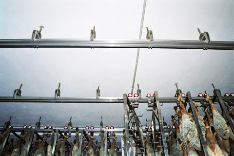 image Perchas y rieles para cámara frigorífica