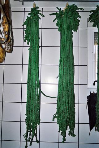 image Sogas para paletilla