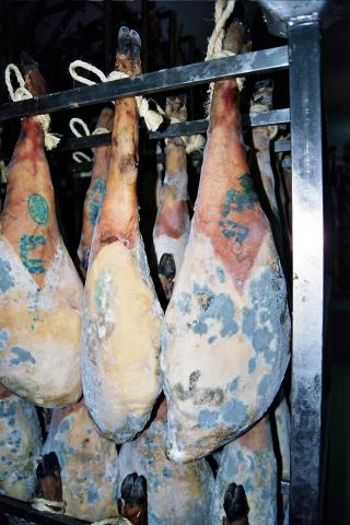 image Jamón enmohecido