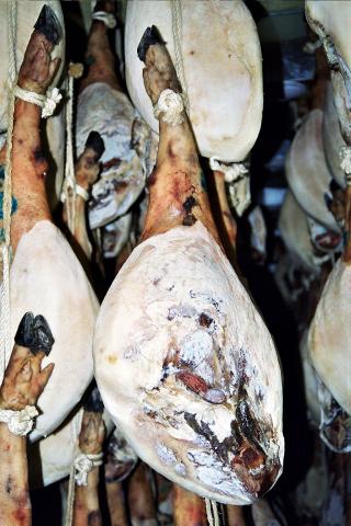image Jamón enmohecido