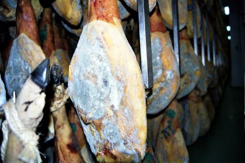 image Jamón enmohecido