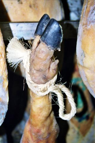 image Pezuña del jamón