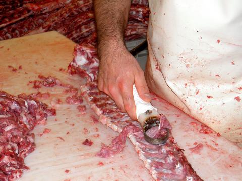 image Raspado de costillas