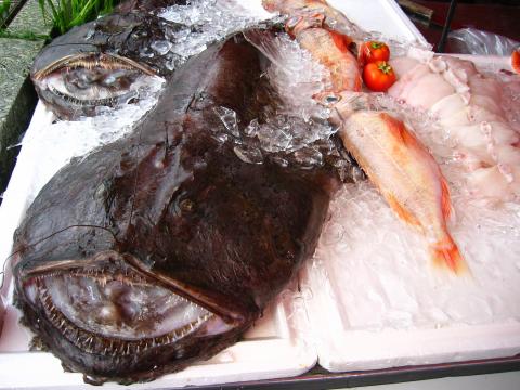 image Rape gigantesco, Noruega