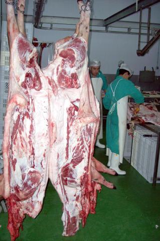 image Cerdo abierto en canal