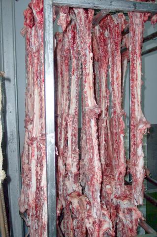 image Espinazos colgados