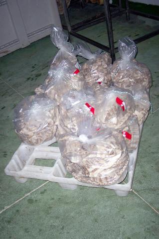 image Huesos de cerdo empaquetado