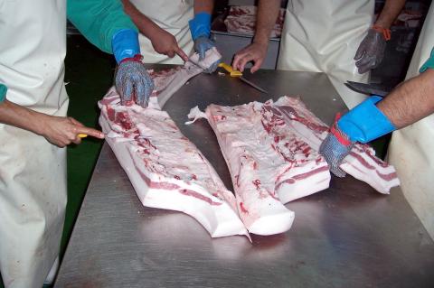 image Despecie de panceta