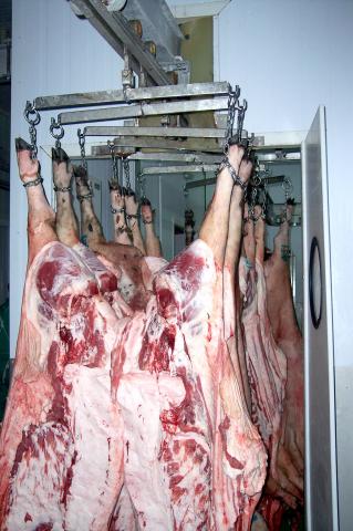 image Transporte de cerdos para despiece