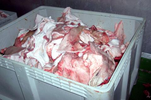 image Tocino sin preparar