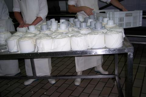 image Cerrando moldes llenos para prensado