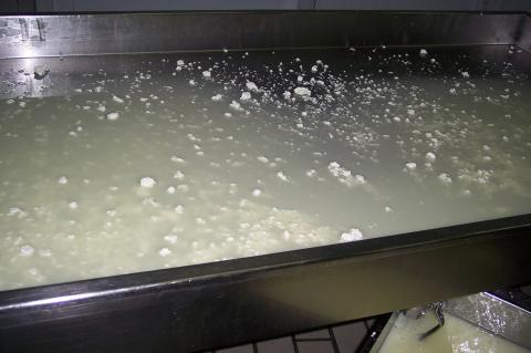 image Cuajo restante despues de hacer el queso