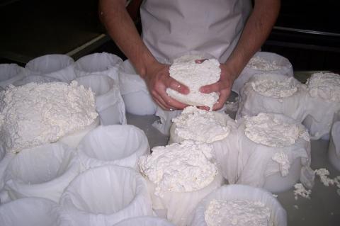 image Introduciendo el cuajo en el molde