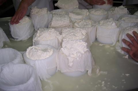 image Introduciendo el cuajo en el molde