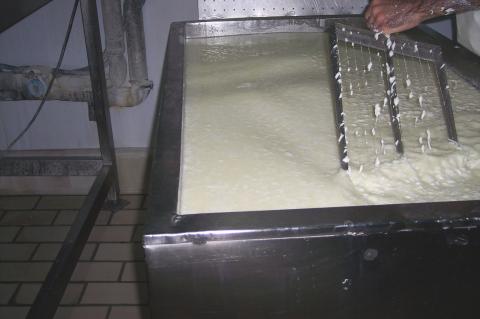 image Lira en el cuajo