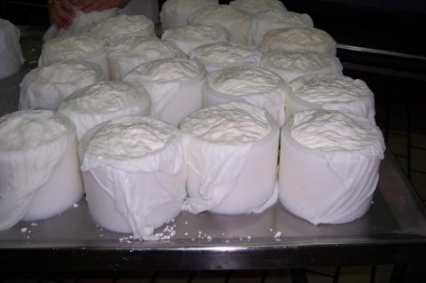 image Moldes llenos para prensado