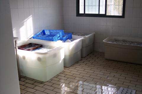 image Moldes y cajas recién limpios