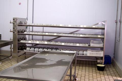 image Prensa con moldes de queso fresco