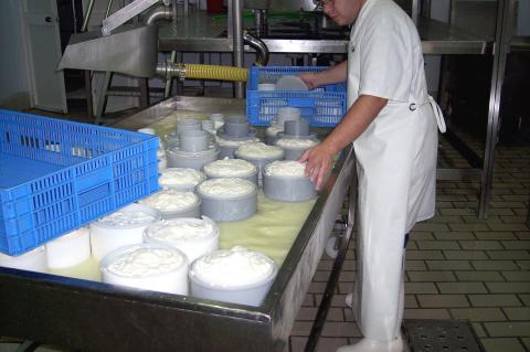 image Preparando queso fresco para prensado