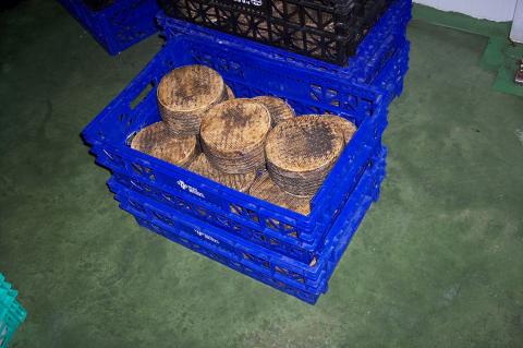 image Queso curado de oveja