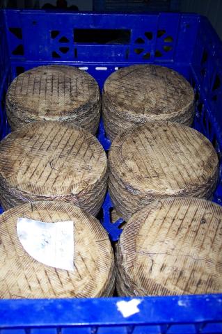 image Queso semicurado