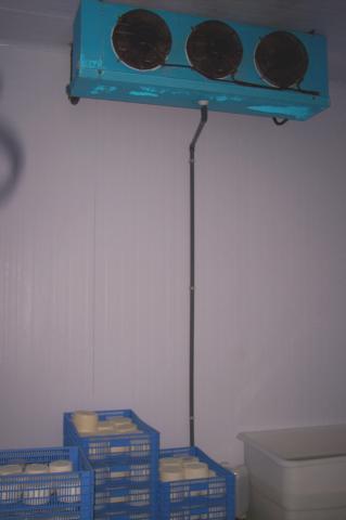 image Quesos en sala frigorífica