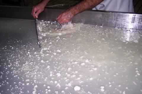 image Retirando restos de cuajo