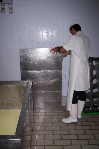 image Tapa para la coagulacion de la leche