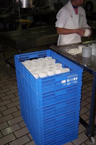 image Almacenamiento de quesos después del prensado